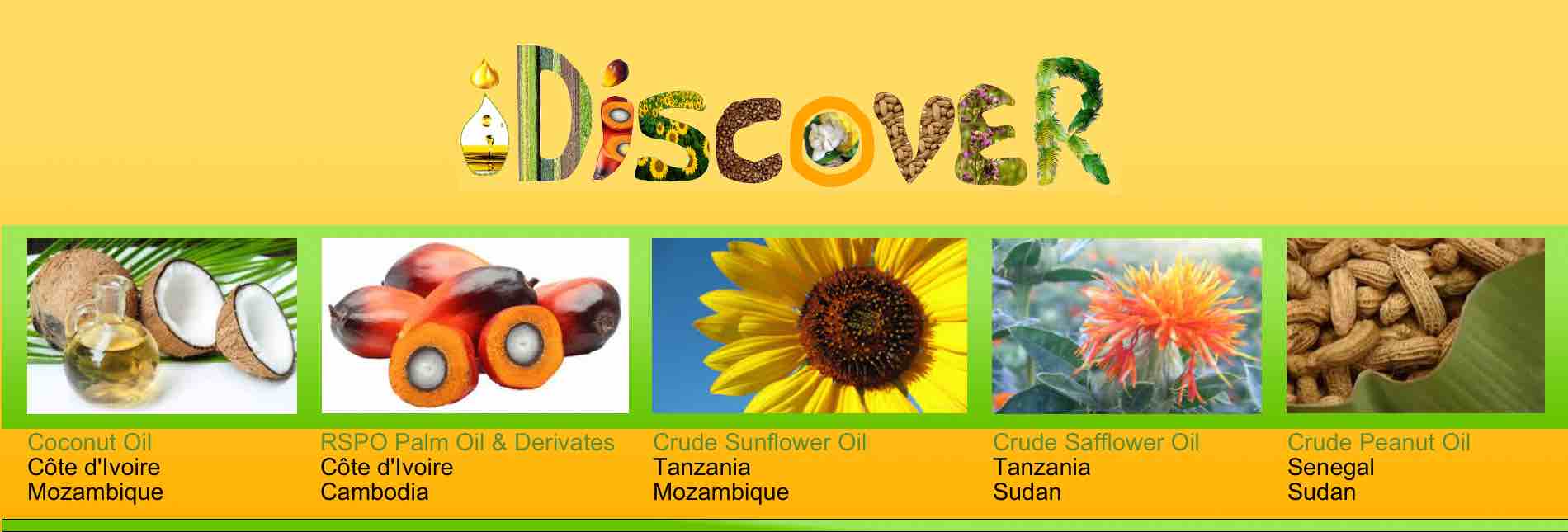 iDiscover Products